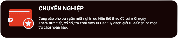 chuyên nghiệp n666